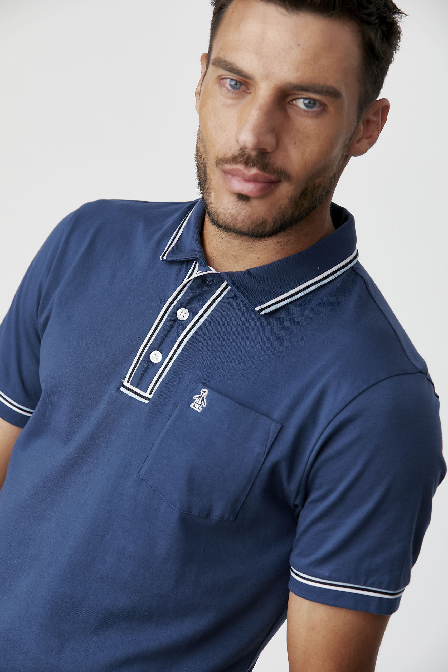 Polos Basicas