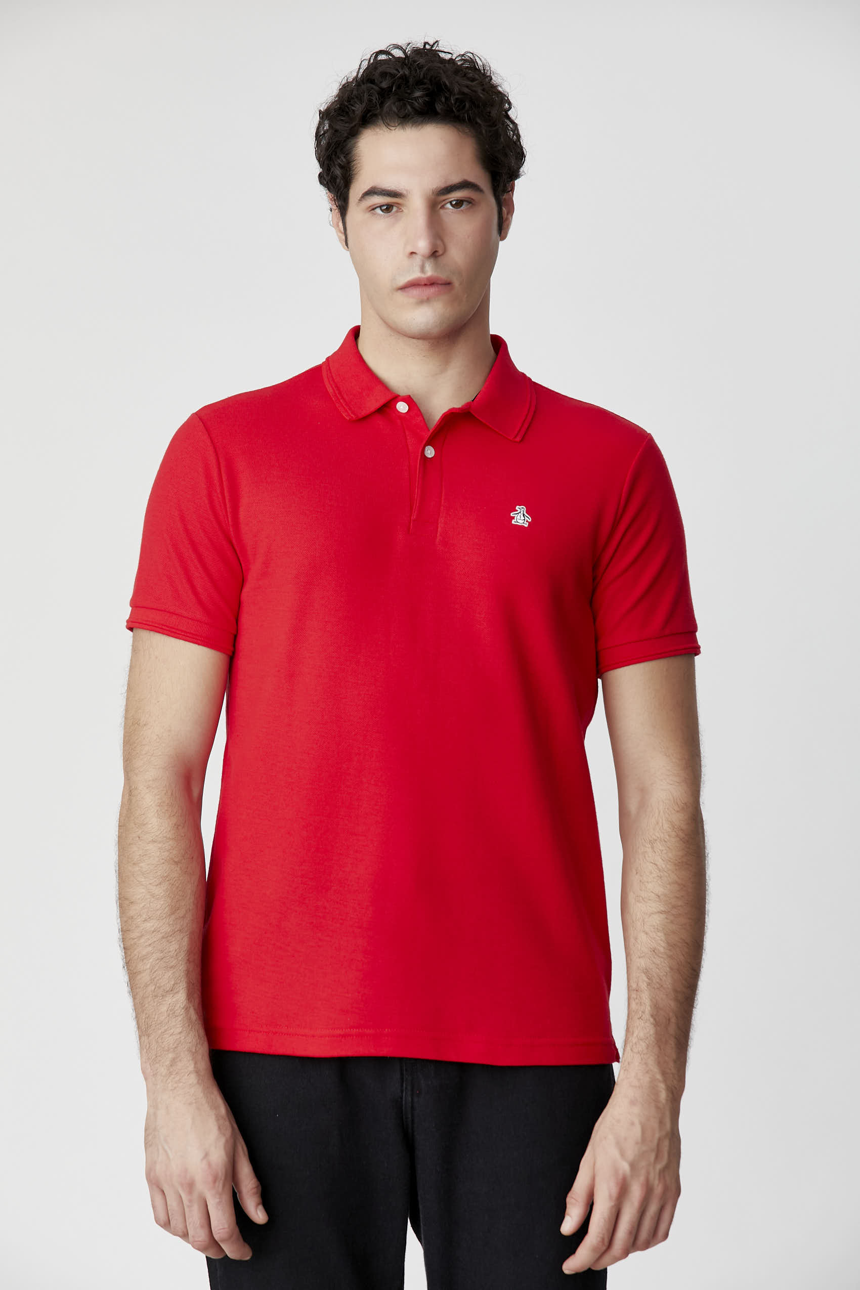 Polos Basicas