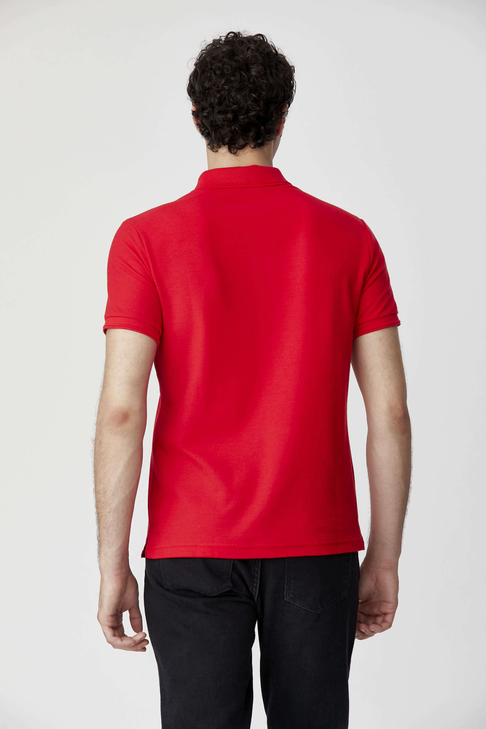 Polos Basicas