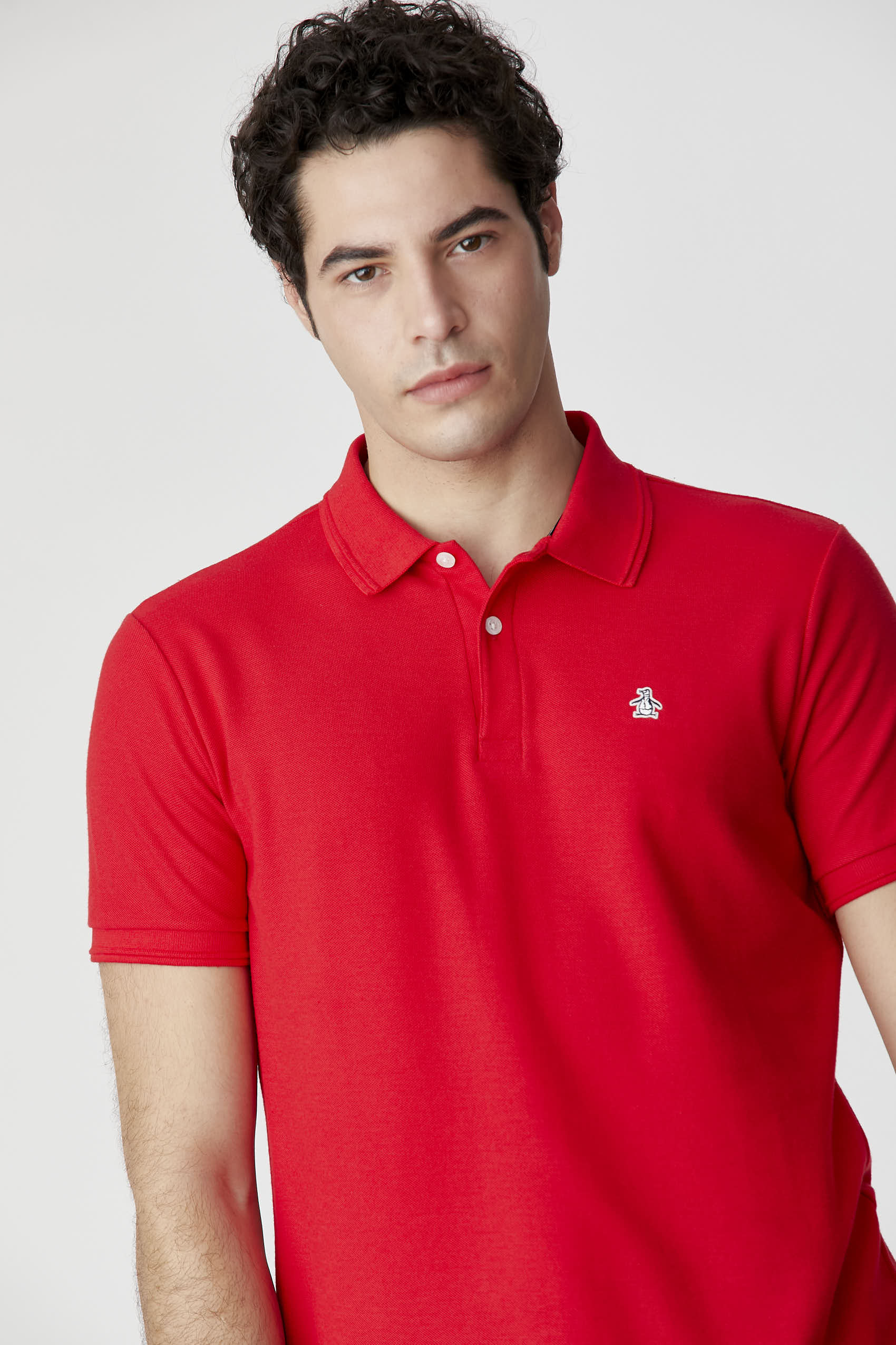 Polos Basicas