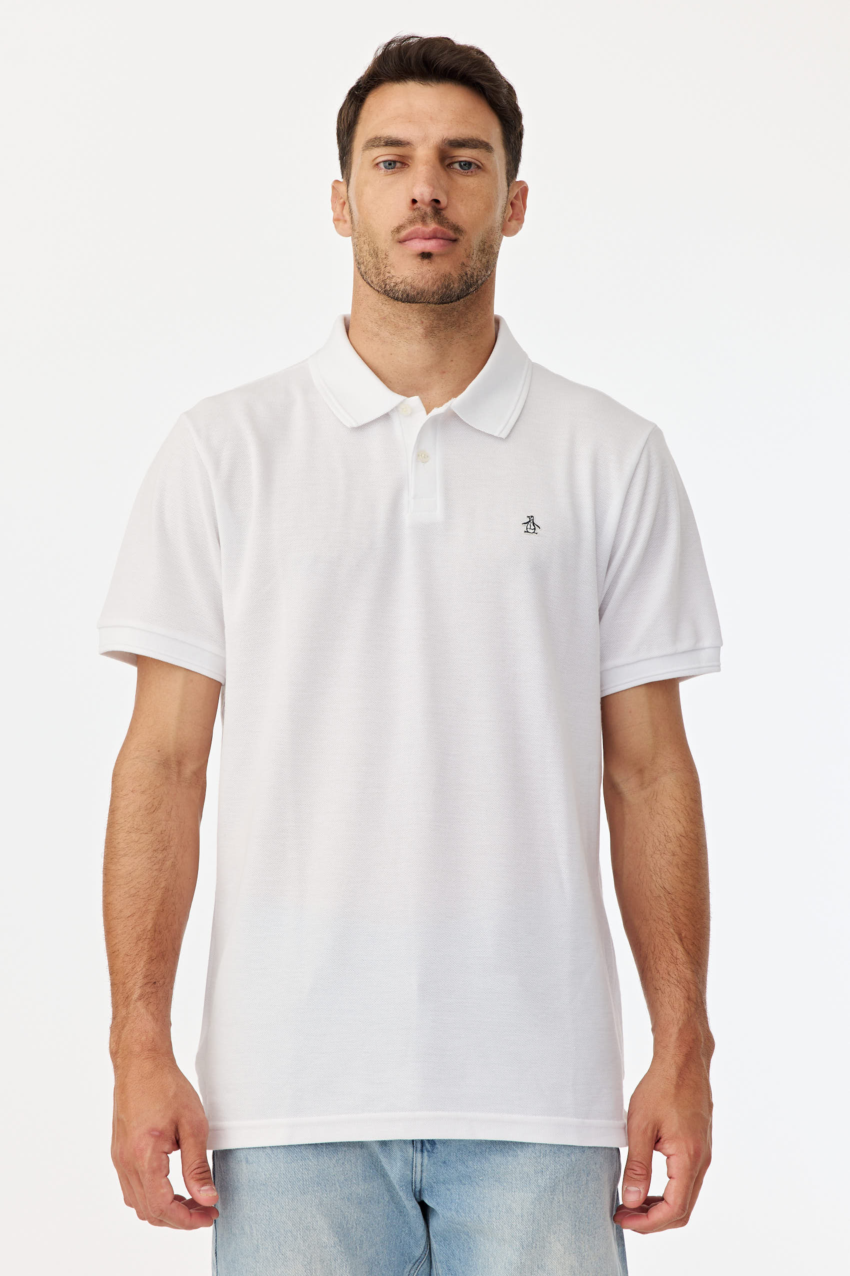 Polos Basicas