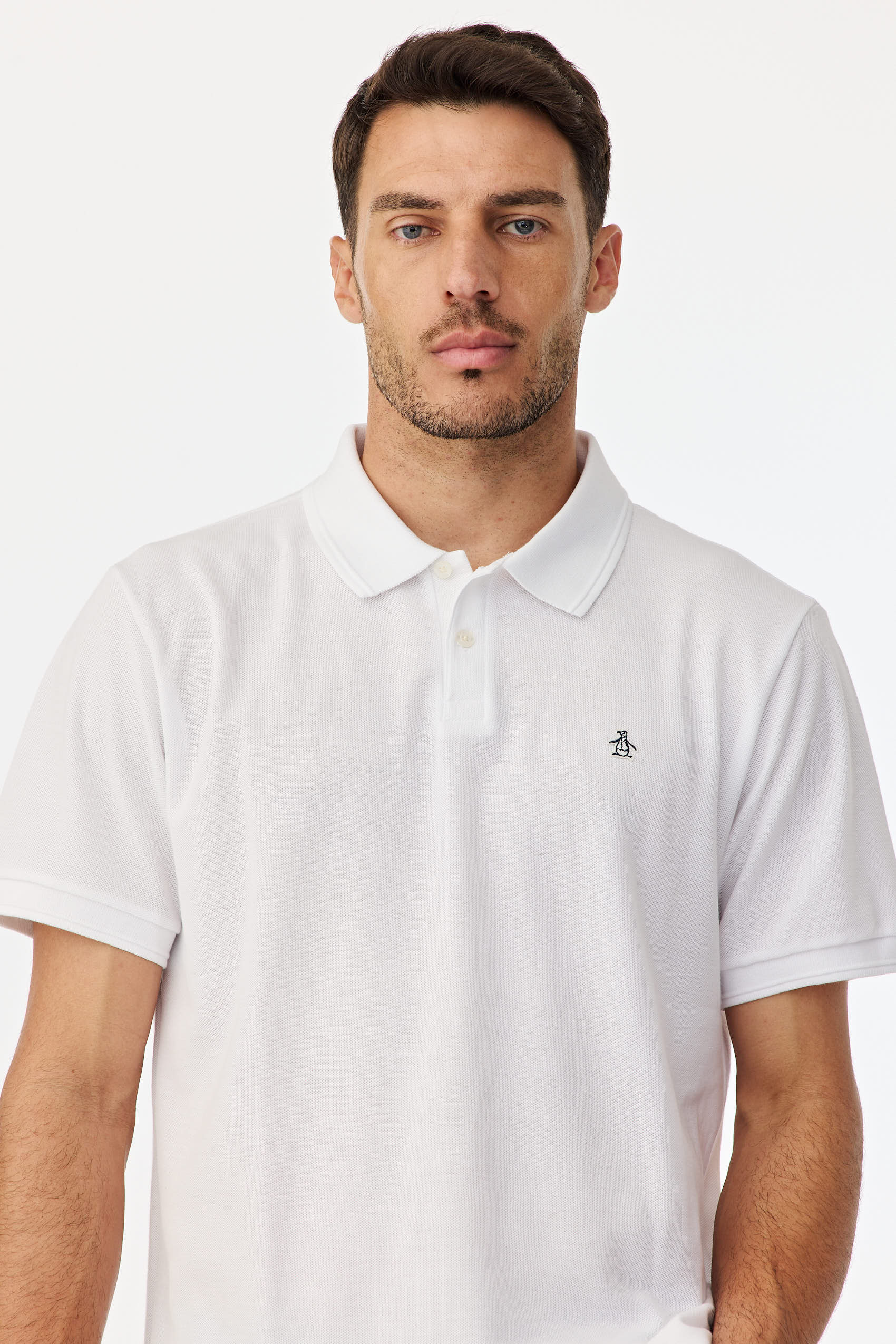 Polos Basicas