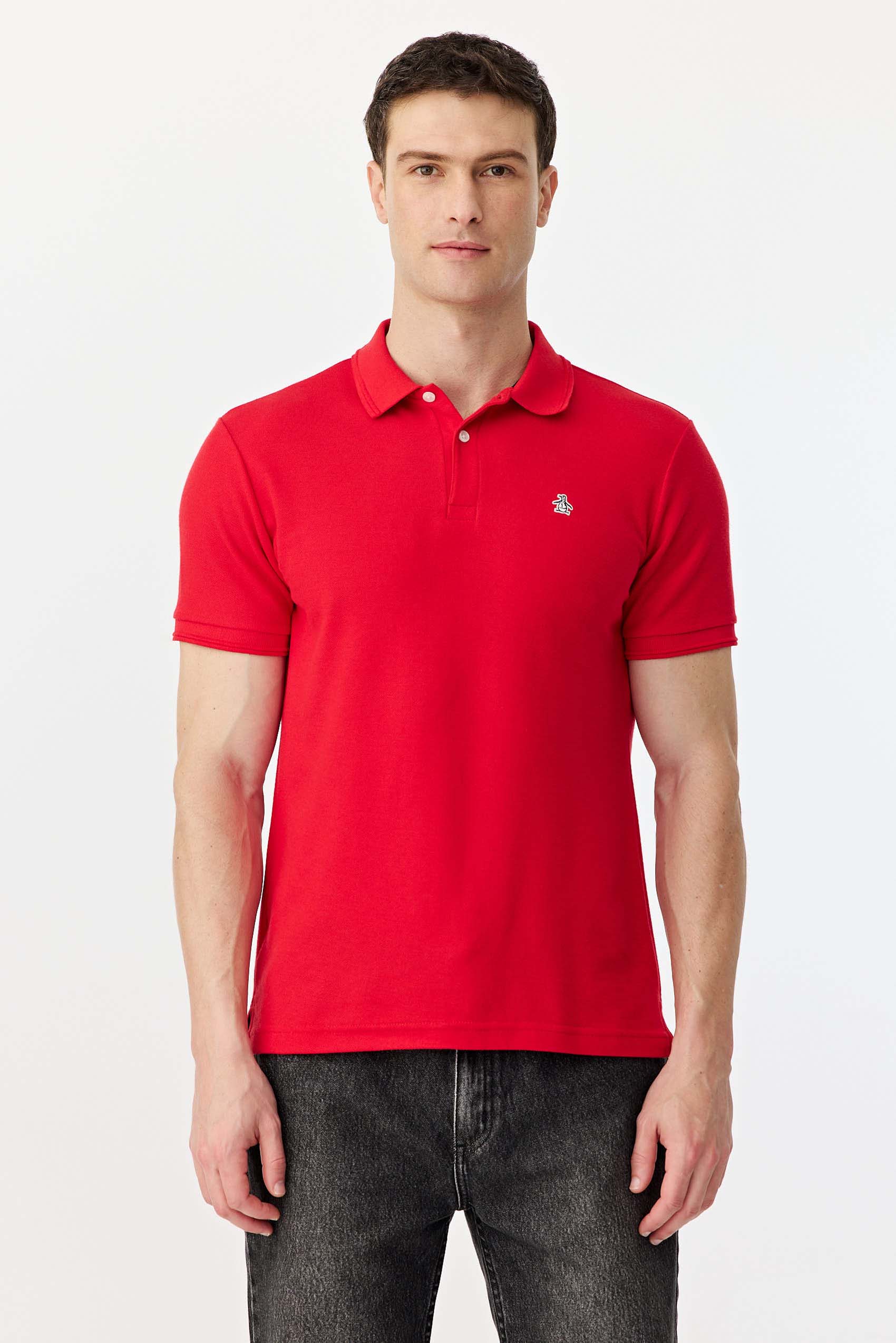 Polos Basicas