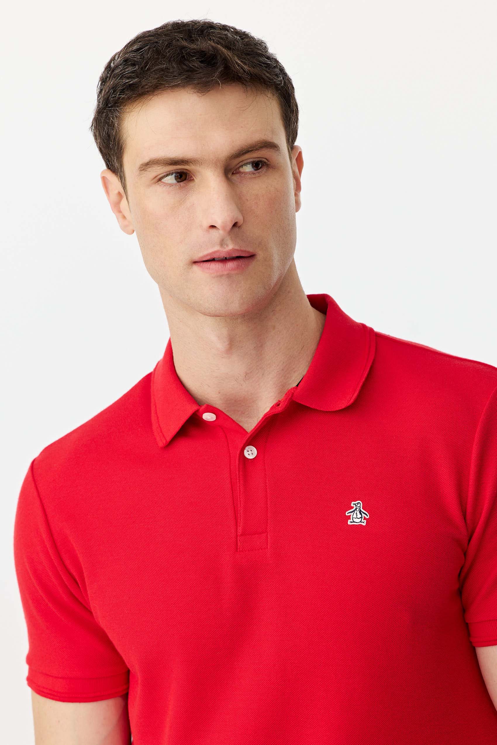 Polos Basicas