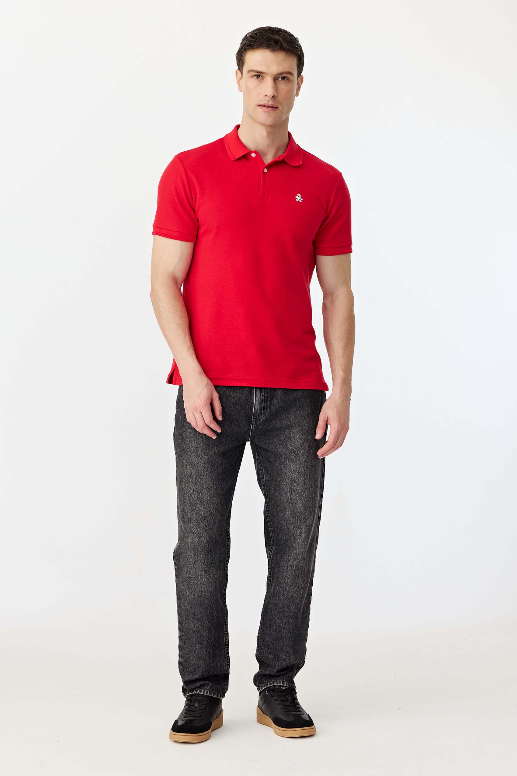Polos Basicas