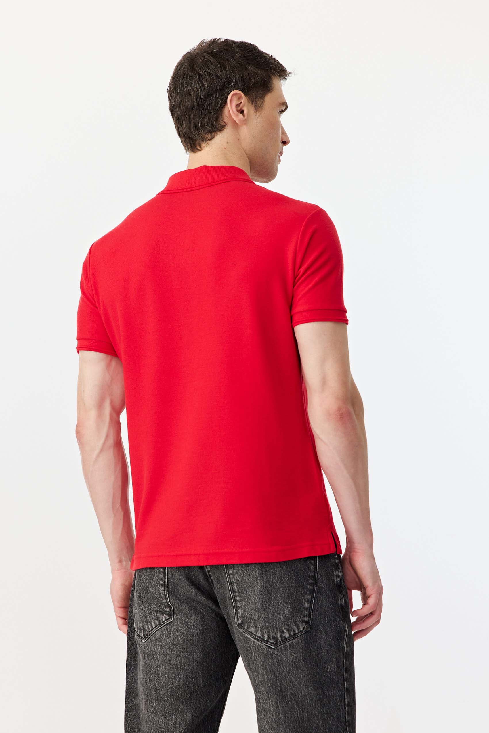 Polos Basicas